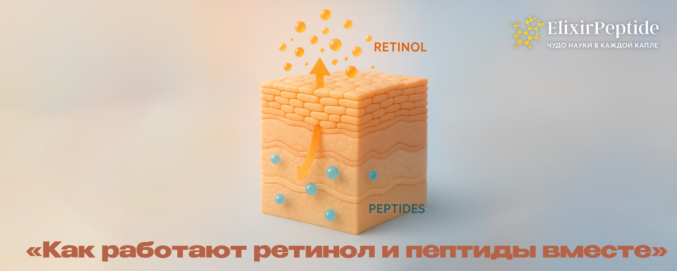 Как работают ретинол и пептиды вместе